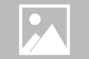 体育赛事平台-美记：雄鹿/勇士/雷霆等队关注卡里姆·洛佩斯 行情预计10-18顺位