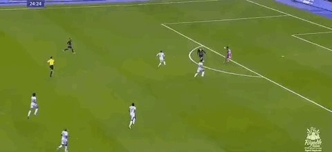 1674149843037090402.gif IMG_5462.gif