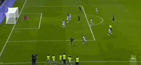 1674153418506030859.gif IMG_5474.gif